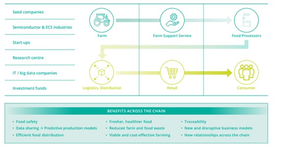 Figure 3.5.4: The agrifood value chain